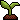 Sapling